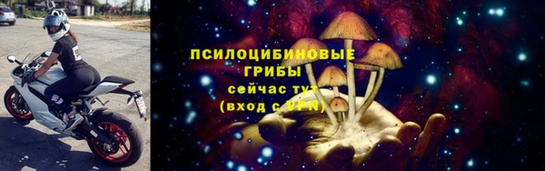 прущие грибы Верхнеуральск