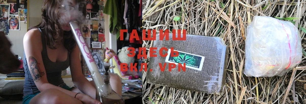 эйфоретик Богданович