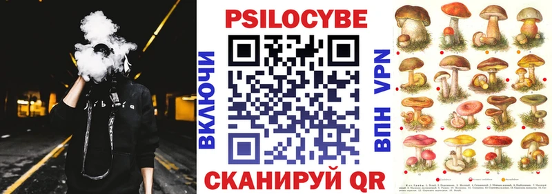 Псилоцибиновые грибы GOLDEN TEACHER дарк нет клад Калининск где купить мега как войти